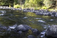 large boulder area on right bank of creek surrounded by forest in sunny sunlight time in forested area