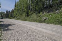 an empty dirt road near some evergreen trees and a vehicle on it's side