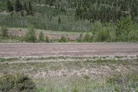 an empty field with a dirt road on the ground between trees and green grass in front