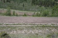 an empty field with a dirt road on the ground between trees and green grass in front