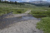 Picturesque Nature Scene in Telluride, Colorado