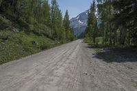 a lone dirt road with mountains in the distance and trees growing on either side of it