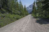 a lone dirt road with mountains in the distance and trees growing on either side of it