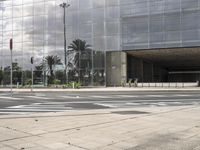 a paved street in front of a building with large glass windows and palm trees and some red traffic signals