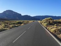 Tenerife, Canary Islands: A Mountain Landscape