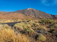 Tenerife Canary Islands Mountain Road 002