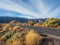 Road through Tenerife's Low Landscape in Canary Islands