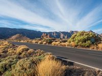 Road through Tenerife's Low Landscape in Canary Islands