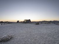 the desert has large rocks and a tree in it with a sunset behind it, and the sky is hazy