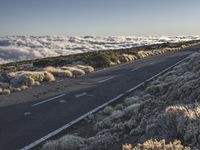 Tenerife Highway in Mountainous Landscape