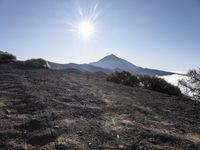 Tenerife Landscape: Mountain Road Under Clear Sky