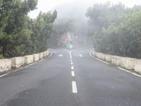 a road with no traffic on it, a stop sign and a curve road ahead