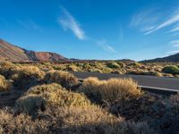 Tenerife National Park: Exploring Mountainous Terrain