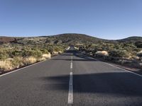 an empty open road and some bushes in the distance in desert land with small trees on either side