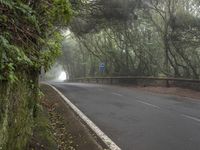 Tenerife Road: Gloomy Atmosphere in Nature