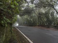 Tenerife Road in Gloomy Atmosphere of Nature