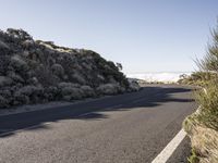 a lone road with no traffic on the side of it, near a field of wildflowers