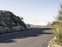 a lone road with no traffic on the side of it, near a field of wildflowers