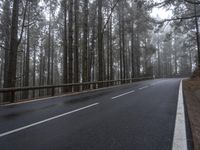 Asphalt Road in Tenerife, Spain: A Gloomy Landscape