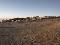 Tenerife Spain Dawn Desert Landscape 001