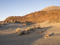 Tenerife Spain at Dawn: A Desert Road Adventure