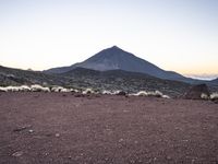 Tenerife, Spain at Dawn: A Breathtaking Landscape