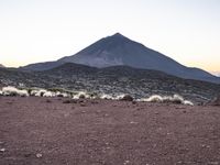 Tenerife, Spain at Dawn: A Breathtaking Landscape