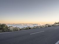 a highway passing through the hills next to the sea of clouds and trees with fog rising in the distance