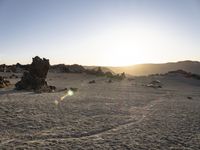 a sun setting over a sandy area with several trees in the background and some rocks