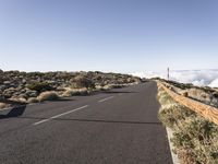 Tenerife, Spain: Road Through the Desert Landscape