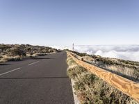 Tenerife, Spain: Road Through the Desert Landscape