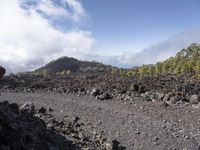 Tenerife Spain Highland Landscape Mountain 001