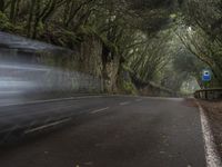 a curve in the road is next to a mountain side tunnel filled with trees and leaves