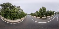 a road with white lines and trees surrounding it and two large, curved curves on both sides