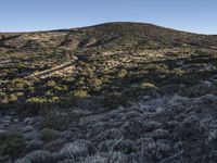 Tenerife, Spain: Rugged Highland Landscape 001