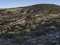 Tenerife, Spain: Rugged Highland Landscape 003