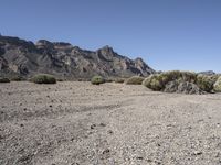 Tenerife, Spain: Rugged Road through Desert Landscape