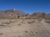 Tenerife's Volcanic Landscape in the Canary Islands