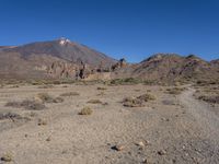 Tenerife's Volcanic Landscape in the Canary Islands