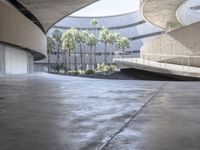 an open space with a concrete ceiling, and palm trees are near by and a skate boarder on the side