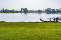 green grassy field next to wooden dock on the water shore with boats in the distance