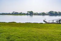 green grassy field next to wooden dock on the water shore with boats in the distance