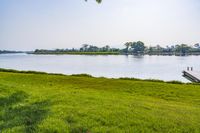 green grassy field next to wooden dock on the water shore with boats in the distance