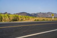 an empty road with yellow arrows in front of a sugar cane field with mountains behind