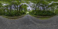 the three way street is shown through a fish - eye lens style image of a road