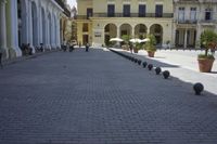 three young people are walking down a city square in front of old buildings and palm trees