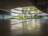 Tints and Shades in a Public Space in Tenerife, Canary Islands