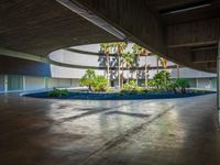 Tints and Shades in a Public Space in Tenerife, Canary Islands