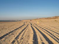 tire tracks on sandy beach with sea in background and clear sky above in the distance