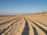 tire tracks on sandy beach with sea in background and clear sky above in the distance